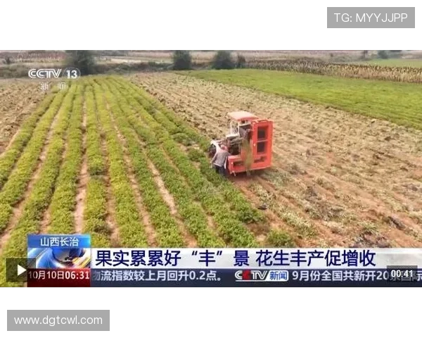 《收获的季节》：一曲农村振兴的温情赞歌，一次关于爱与传承的动人回响